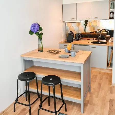 Ohtu Poik 2 City Center Basement Apartment * Parnu