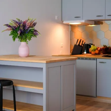 Ohtu Poik 2 City Center Basement Apartment *