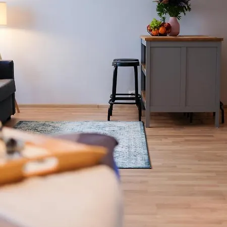 Ohtu Poik 2 City Center Basement Apartment Apartment *
