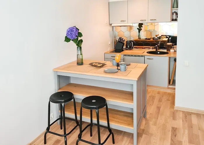 Ohtu Poik 2 City Center Basement Apartment * Parnu