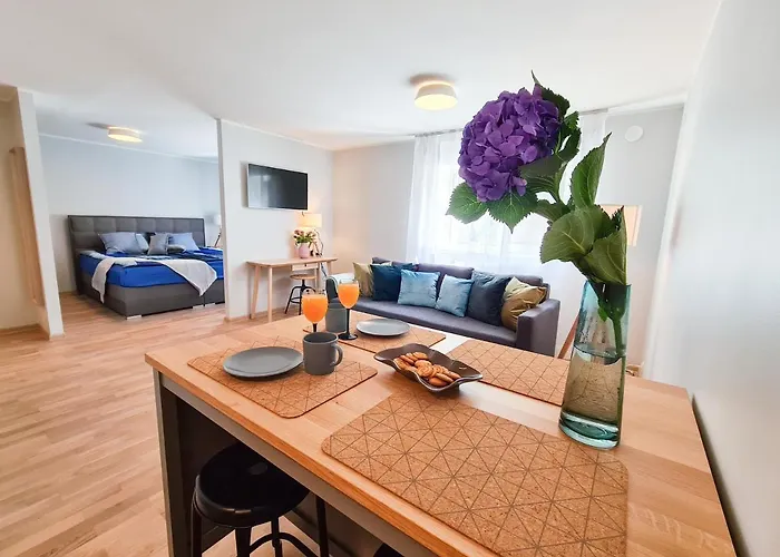 Apartment Ohtu Poik 2 City Center Basement Apartment