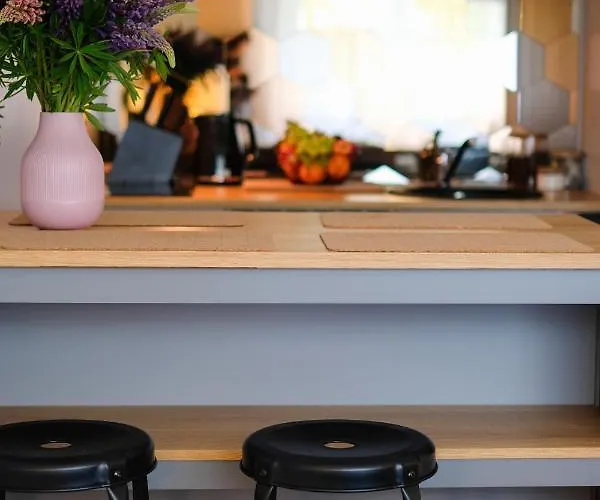 Ohtu Poik 2 City Center Basement Apartment Parnu