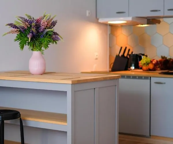 Ohtu Poik 2 City Center Basement Apartment *