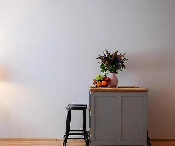 Apartment Ohtu Poik 2 City Center Basement Apartment *