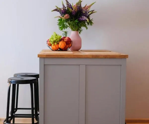 Ohtu Poik 2 City Center Basement Apartment Apartment *