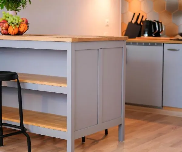 Ohtu Poik 2 City Center Basement Apartment Apartment