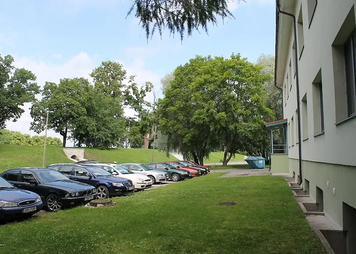 Ohtu Poik 2 City Center Basement Apartment Apartment